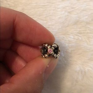 Stunning Retired PANDORA Charm